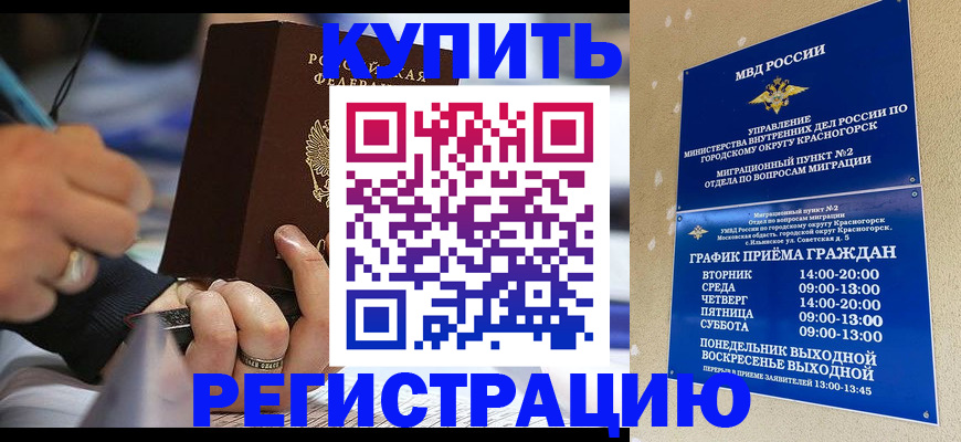 регистрация для школы в Луге